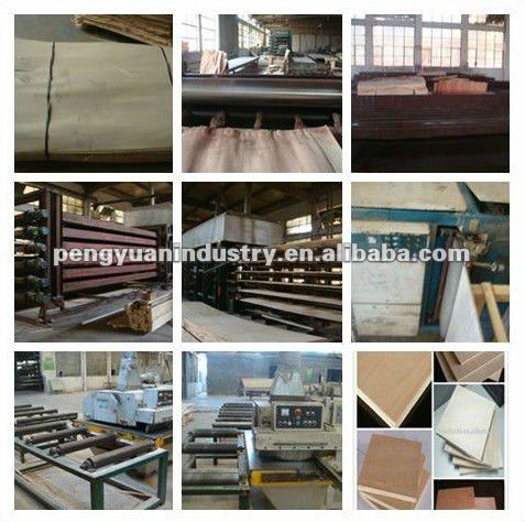 BB Grade Poplar Plywood for Furniture From Shangdong