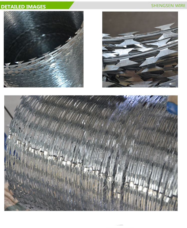 Wholesale Concertina Razor Barbed Wire Price/Hot Dipped Galvanized Razor Wire