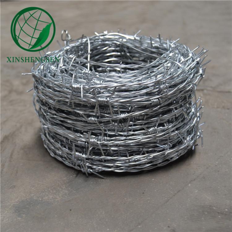 Galvanized safety barbed wire/galvanized decorative barbed wire fencing/barbed wire