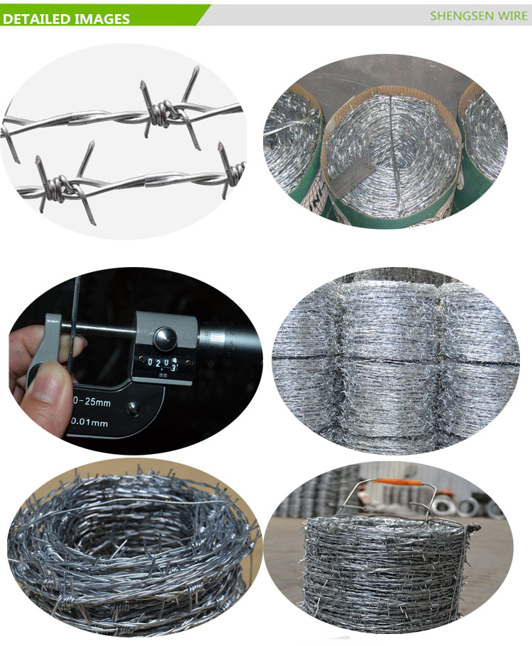 Galvanized safety barbed wire/galvanized decorative barbed wire fencing/barbed wire