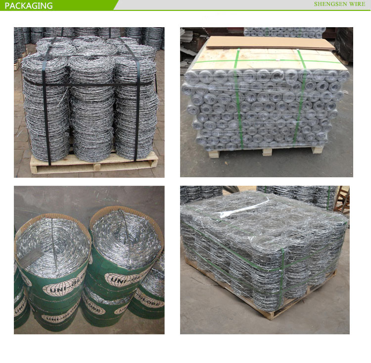 Galvanized safety barbed wire/galvanized decorative barbed wire fencing/barbed wire