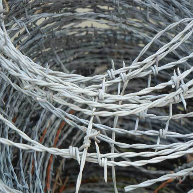 Hot dipped galvanized weight cheap barbed wire